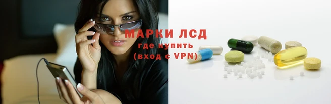 ПСИЛОЦИБИНОВЫЕ ГРИБЫ Медногорск