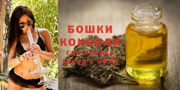 ПСИЛОЦИБИНОВЫЕ ГРИБЫ Медногорск