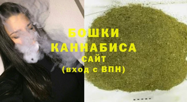 ПСИЛОЦИБИНОВЫЕ ГРИБЫ Медногорск