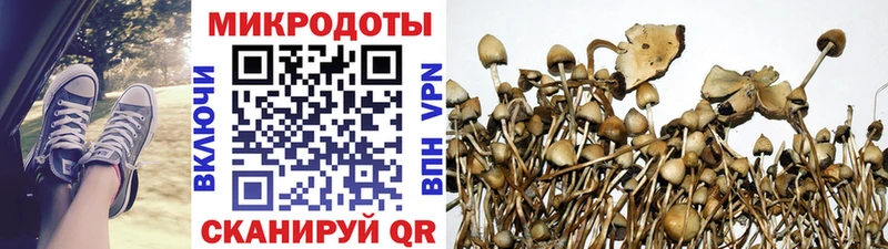 Галлюциногенные грибы MAGIC MUSHROOMS  Хабаровск 