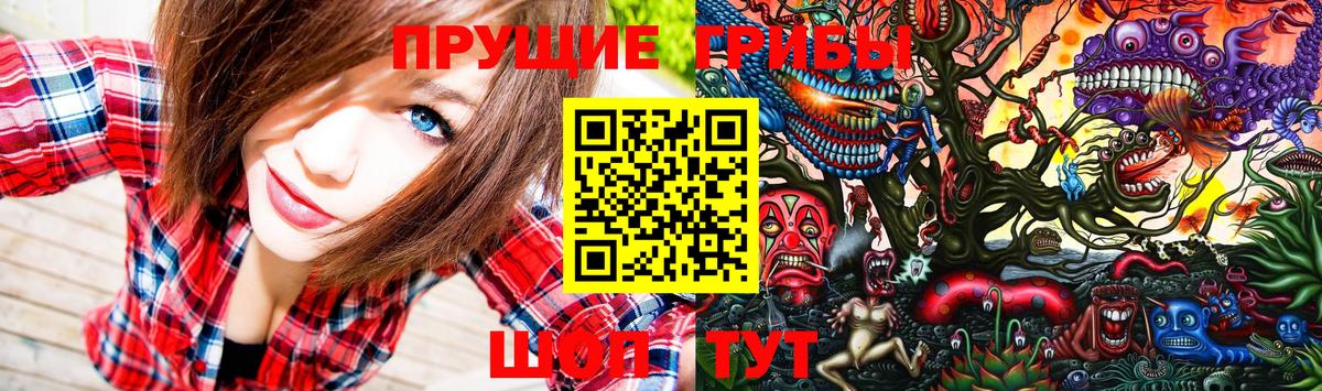 цена   Галлюциногенные грибы GOLDEN TEACHER  Хабаровск  Вход с VPN  Галлюциногенные грибы прущие грибы 